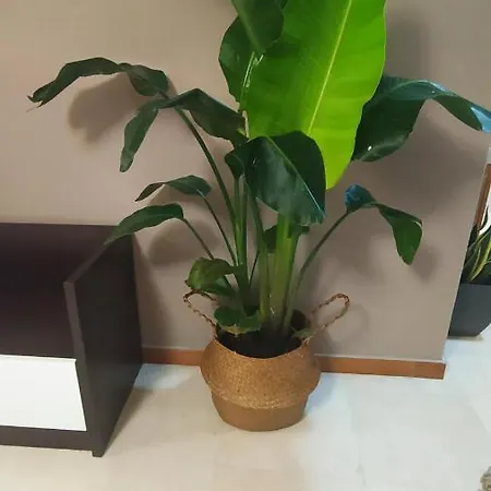 Апартаменти Apartamento En Sanxenxo
